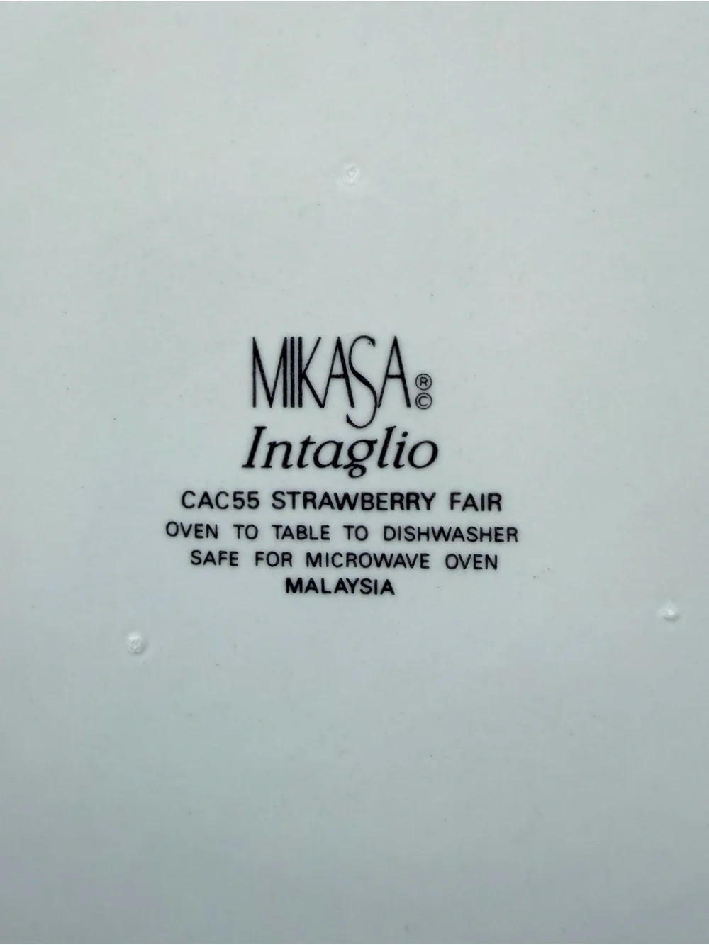 Mikasa Intaglio Strawberry Fair Quiche or Tart 10” Stoneware Dish
